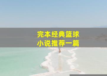 完本经典篮球小说推荐一篇