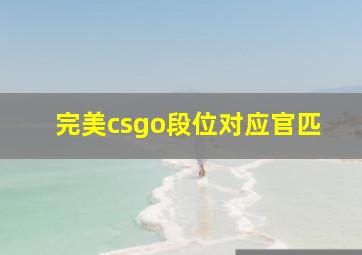 完美csgo段位对应官匹