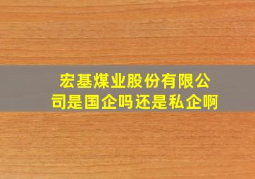 宏基煤业股份有限公司是国企吗还是私企啊