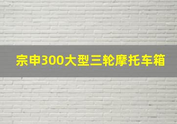 宗申300大型三轮摩托车箱