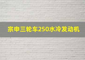 宗申三轮车250水冷发动机