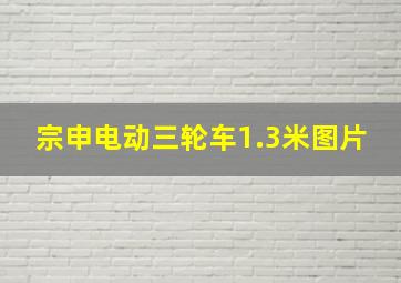 宗申电动三轮车1.3米图片