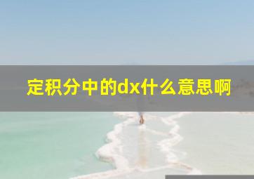 定积分中的dx什么意思啊