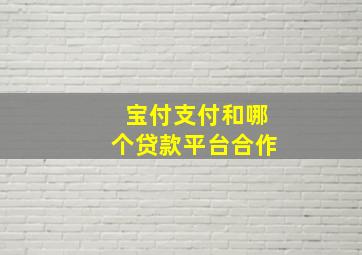 宝付支付和哪个贷款平台合作