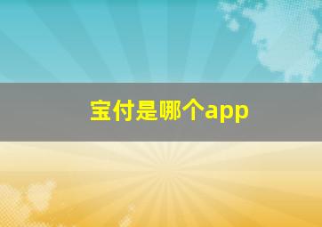 宝付是哪个app