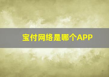 宝付网络是哪个APP