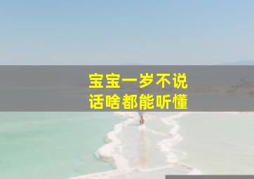 宝宝一岁不说话啥都能听懂