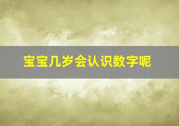 宝宝几岁会认识数字呢