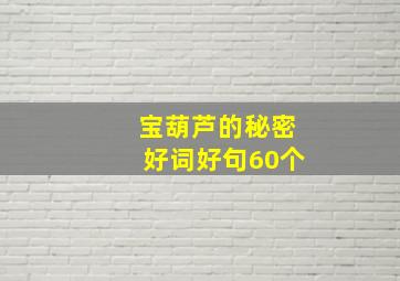 宝葫芦的秘密好词好句60个