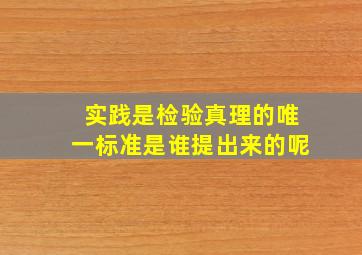 实践是检验真理的唯一标准是谁提出来的呢