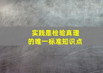 实践是检验真理的唯一标准知识点