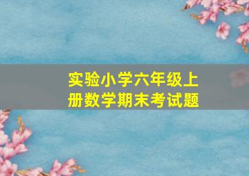 实验小学六年级上册数学期末考试题