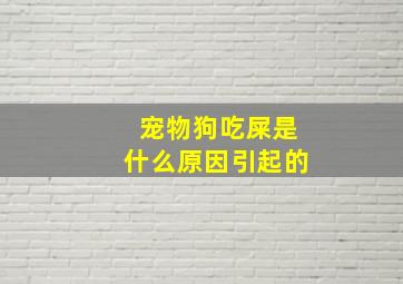 宠物狗吃屎是什么原因引起的