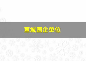 宣城国企单位