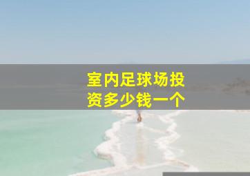 室内足球场投资多少钱一个