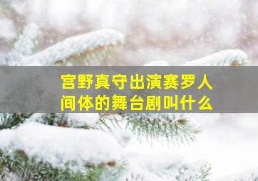 宫野真守出演赛罗人间体的舞台剧叫什么