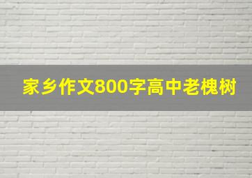 家乡作文800字高中老槐树