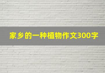 家乡的一种植物作文300字