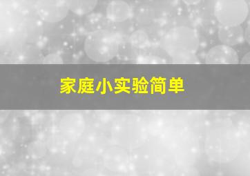 家庭小实验简单