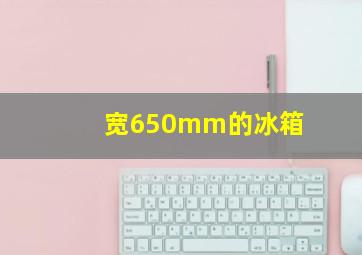 宽650mm的冰箱