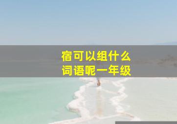 宿可以组什么词语呢一年级