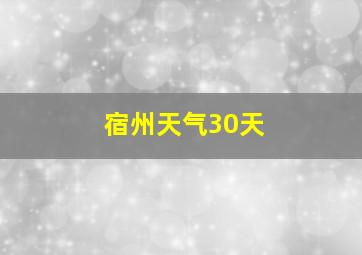 宿州天气30天