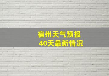 宿州天气预报40天最新情况