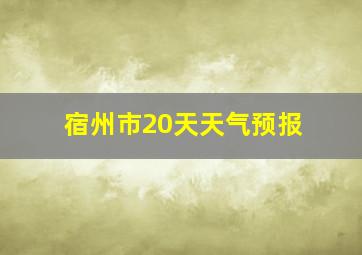 宿州市20天天气预报