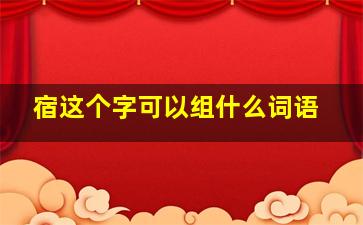 宿这个字可以组什么词语