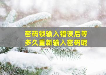 密码锁输入错误后等多久重新输入密码呢