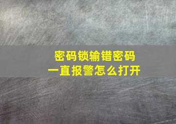 密码锁输错密码一直报警怎么打开