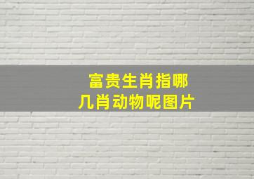 富贵生肖指哪几肖动物呢图片