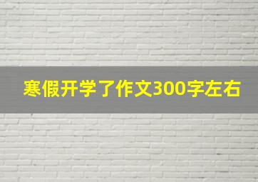 寒假开学了作文300字左右