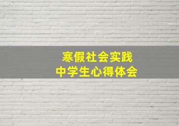 寒假社会实践中学生心得体会