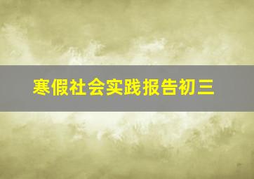 寒假社会实践报告初三