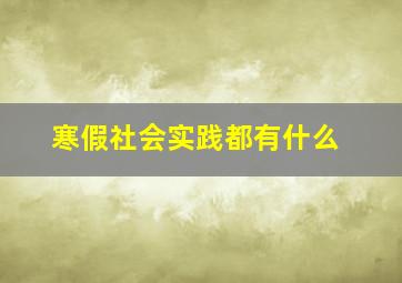 寒假社会实践都有什么