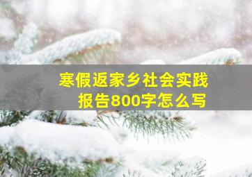 寒假返家乡社会实践报告800字怎么写