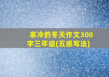 寒冷的冬天作文300字三年级(五感写法)