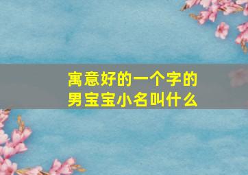 寓意好的一个字的男宝宝小名叫什么