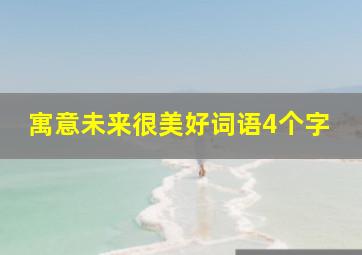 寓意未来很美好词语4个字