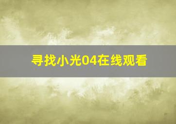 寻找小光04在线观看