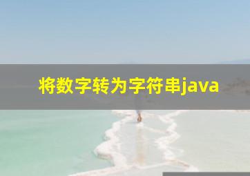 将数字转为字符串java