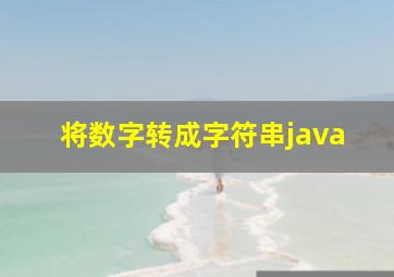 将数字转成字符串java