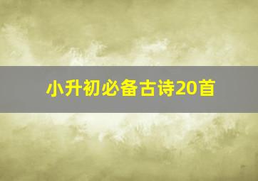 小升初必备古诗20首