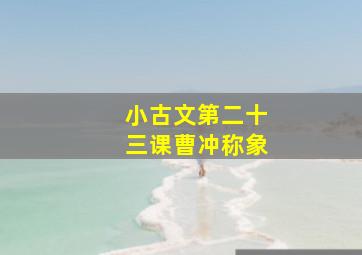 小古文第二十三课曹冲称象