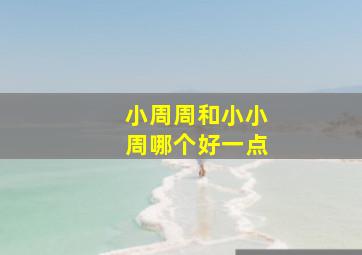 小周周和小小周哪个好一点