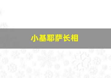 小基耶萨长相