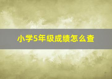 小学5年级成绩怎么查