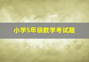 小学5年级数学考试题