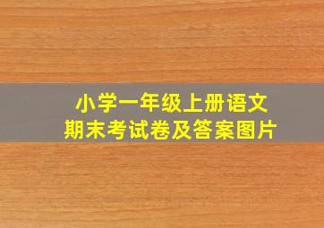 小学一年级上册语文期末考试卷及答案图片